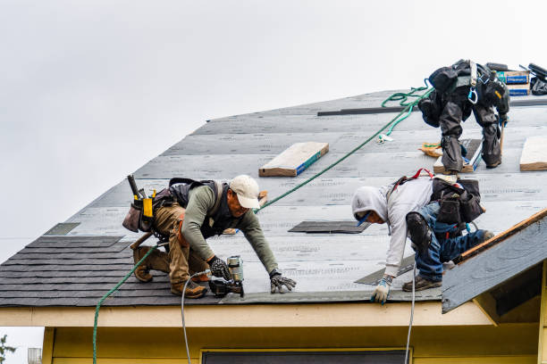 Professional Roofing technician working in Laotto, IN